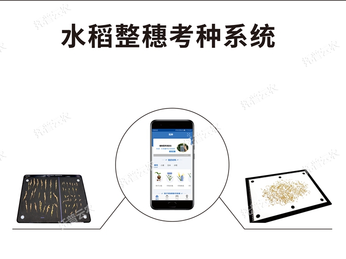 水稻整穗考種測(cè)量系統(tǒng) TPDS-X-1 plus